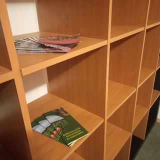 Elefántos Apartman Kaposvár (3)