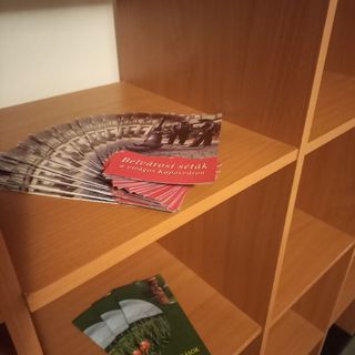 Elefántos Apartman Kaposvár (4)