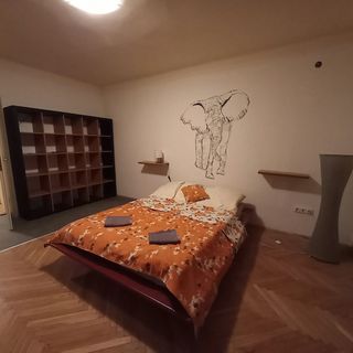 Elefántos Apartman Kaposvár (5)