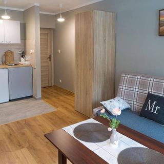 Willa Aksamit Karpacz (4)