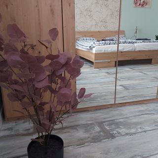 Crystal Apartman Eger (4)