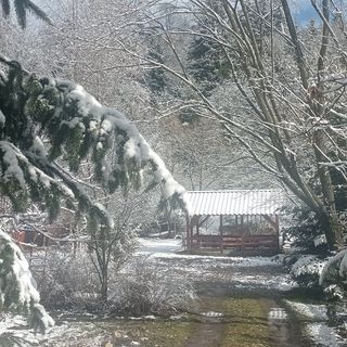 Cabana Bálint Vărșag (2)