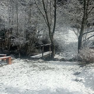 Cabana Bálint Vărșag (4)