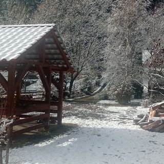 Cabana Bálint Vărșag (5)