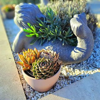 Füge Villa Luxury & Wellness**** Balatonfüred (4)