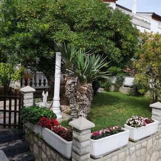 Apartmanok Parkolóhellyel Lopar, Rab - 18896 Lopar (4)