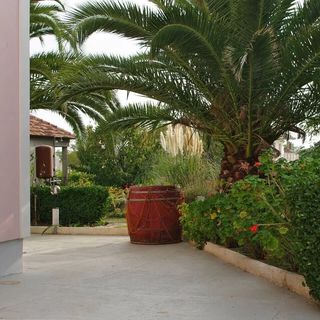 Apartmanok Parkolóhellyel Privlaka, Zadar - 19393 Privlaka (5)