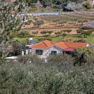 Ház Családok Részére Medencével Postira, Brac - 19563 Postira (5)