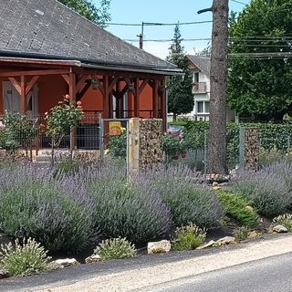 Rózsa Vendégház a Bakony-szívében Zirc (2)