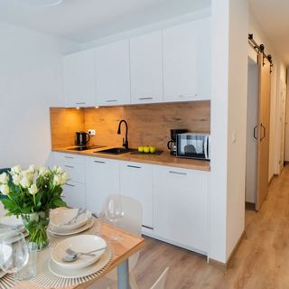Apart Invest Apartament Świerkowy 5 Szklarska Poręba (2)