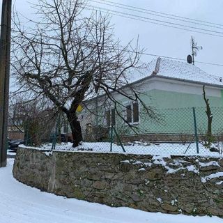 U lesního muže Střelice (2)