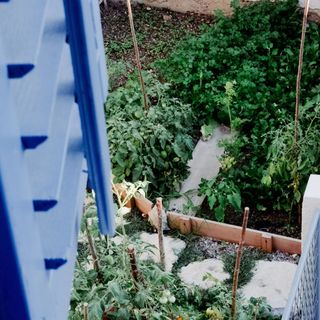 Mediterranean House Kucha Drivenik (4)