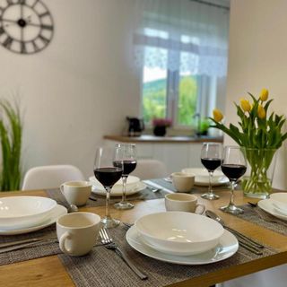 Apartament Jak Marzenie Ustrzyki Dolne (5)