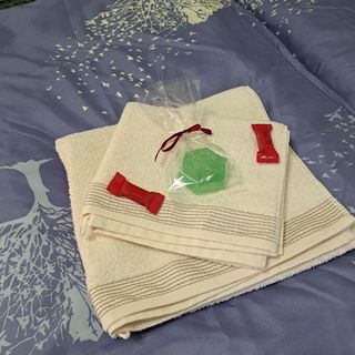 Manilla Vendégháza Kaposvár (2)