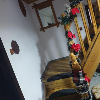 Casa Roxana Vișeu de Sus (4)