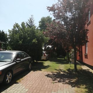 Rozi Vendégház Balatonmáriafürdő (5)