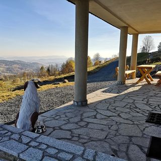 Dom Orle Gniazdo Rędziny (2)