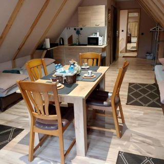 Apartament Rynek 30 Osieczna (3)