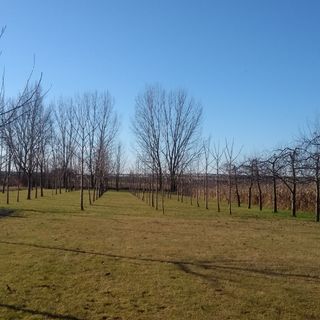 Vízcsepp Vendégház Pátyod (2)