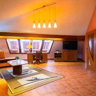SPA & Wellness Hotel Orchidea Veľký Meder (5)