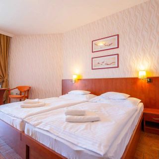SPA & Wellness Hotel Orchidea Veľký Meder (4)