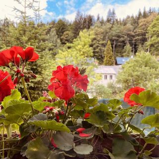 Chata U Skota Janov nad Nisou (2)