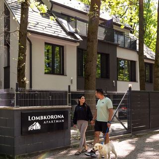 Lombkorona Apartman Mártély (2)