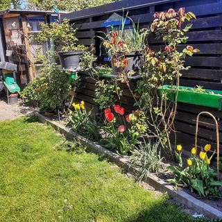 Willa Parkowa Puck (3)