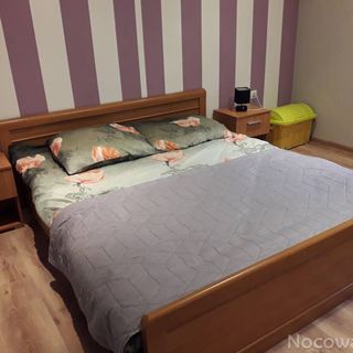 Kwatery pod lasem Ustrzyki Dolne (4)