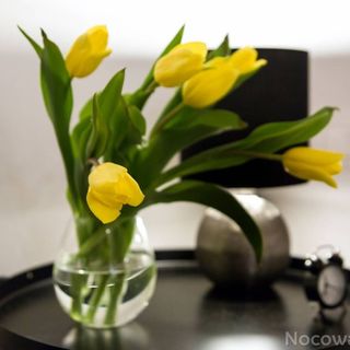 Apartamenty Stary Kraków GO (5)