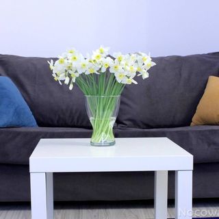 Apartament Zielona Przystań Łódź (5)