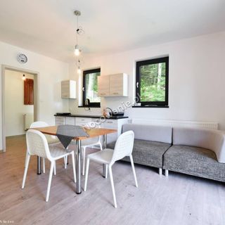 Apartamenty Bukowy Stok Wisła (2)