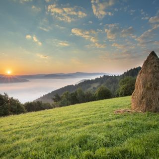 Zielona Granica Piwniczna-Zdrój (5)