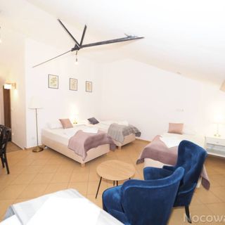 Agroturystyka w Lesie Gdańsk Dzierżążno (5)