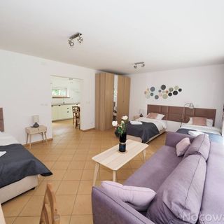 Agroturystyka w Lesie Gdańsk Dzierżążno (2)