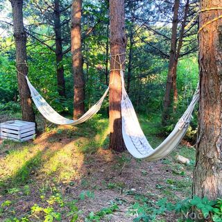 Skrzydlata Chata - Osada Ptosek Bieszczady Polańczyk (2)