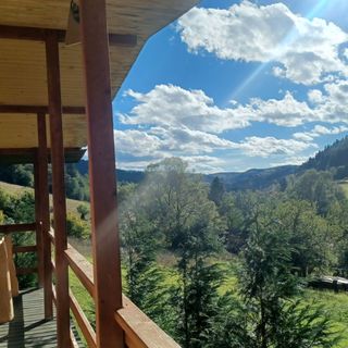 Leśny Dzban Bieszczady / Komańcza (2)