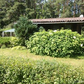 Domki Pod Lasem Sorkwity (3)