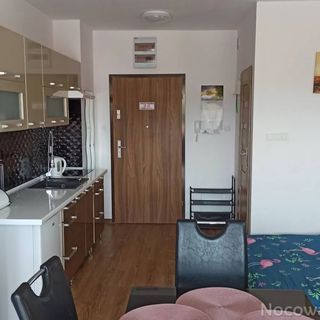 Apartament Flamingo 20 Międzyzdroje (4)