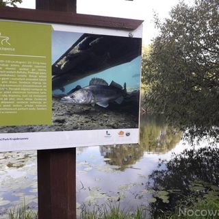 Apartament całoroczny u Grzegorza. Lidzbark-Mazury. Oddzielne wejście. Budynek parterowy. Lidzbark (2)