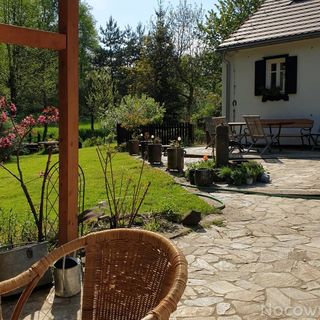 Agroturystyka Lusatia Farm Leśna Grabiszyce  (2)