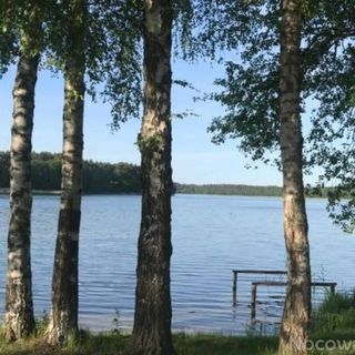 Leśna Osada Dominikowo (3)