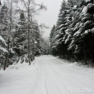 Villa Neve Ustrzyki Dolne (4)