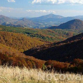 Villa Neve Ustrzyki Dolne (5)