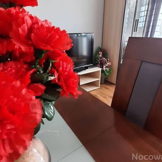 Słoneczny Apartament w Busku- Zdroju Busko-Zdrój (4)