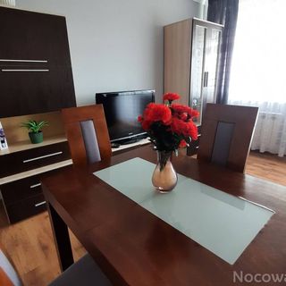 Słoneczny Apartament w Busku- Zdroju Busko-Zdrój (5)