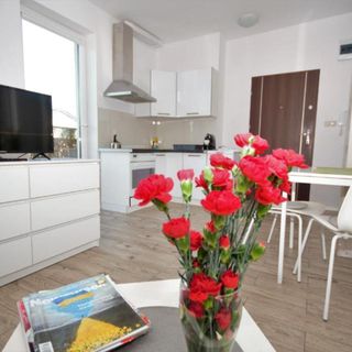 Apartament Wczasowa Warszawa (5)