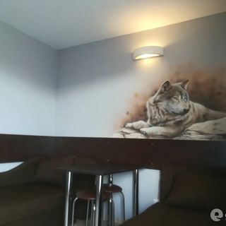 Noclegi Nad Soliną Bóbrka (4)