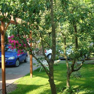 Dom Wakacyjny u Mirka Ustka (5)