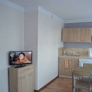 Apartament Ustrzyki Ustrzyki Dolne (4)